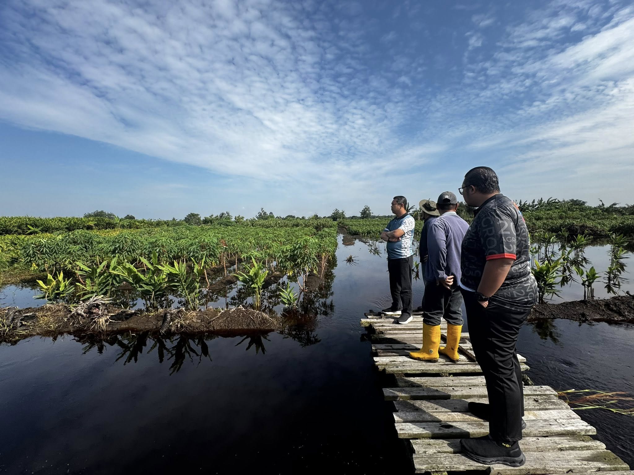 Lawatan Pemantauan Timbalan Pengarah Pertanian (Pembangunan) Tanah Runtuh di Taman Kekal Pengeluaran Makanan Batu Arang