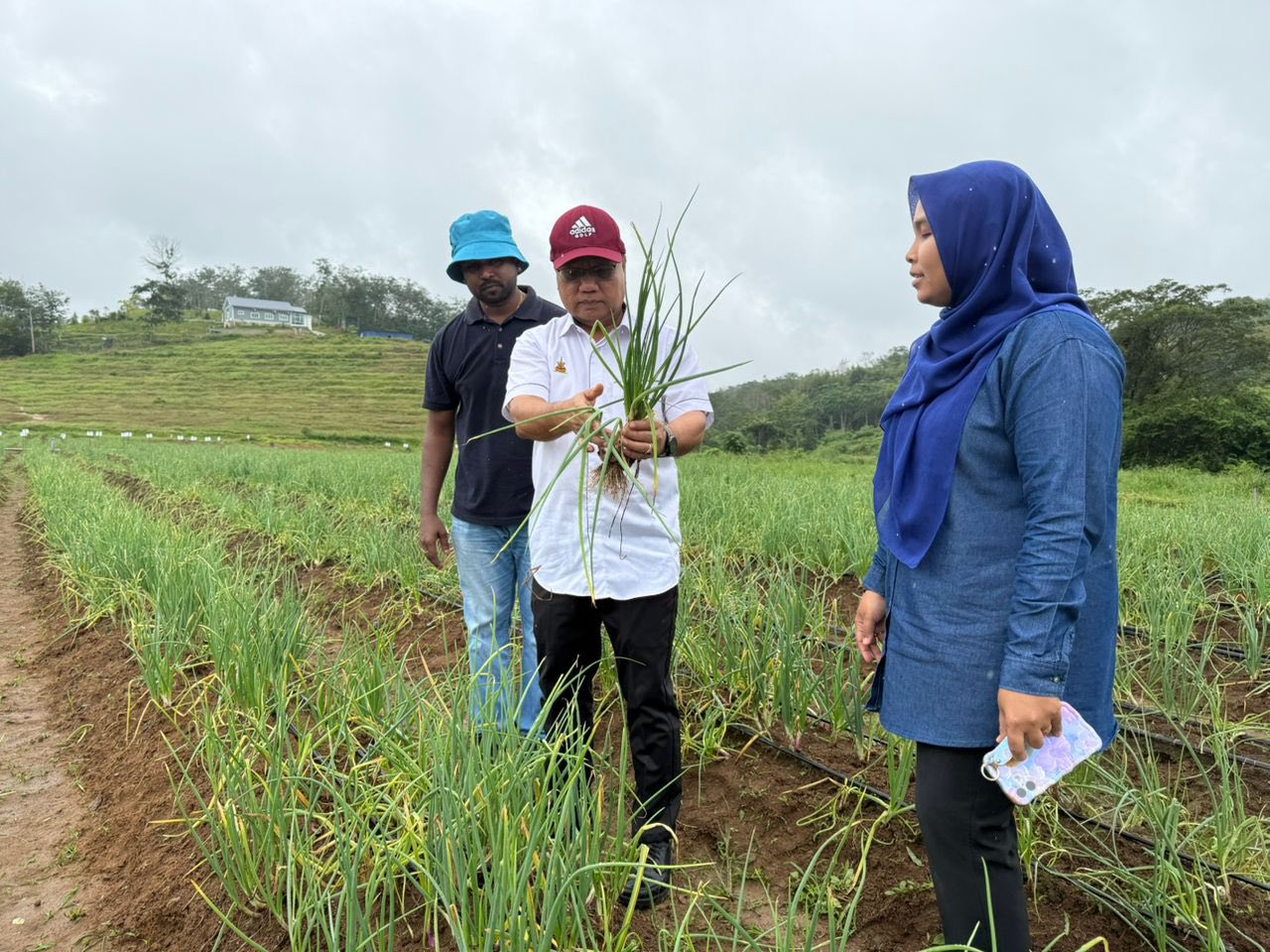 Lawatan Pemantauan Pengarah Pertanian Negeri Selangor ke Projek Pertanian Daerah Hulu Selangor